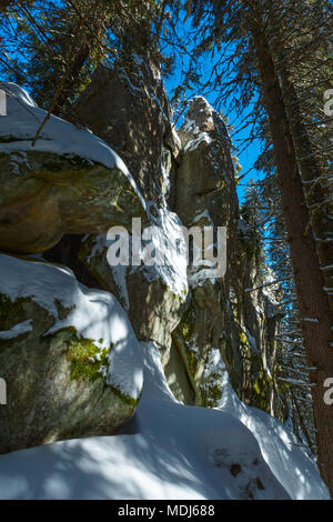 Sonnigen Wintertag im Schnee steinigen Boulder rock Blick in dunklen wilden Tannenwald. Malerische ungarischen Stein Felsen auf Skupova Berghang, Carpathia Stockfoto