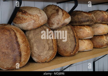 Frisch gebackenes Sauerteigbrot Stockfoto