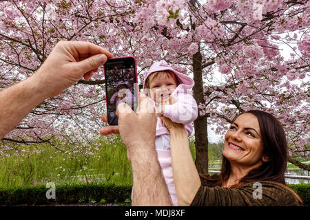 Mutter und ihr Baby werden unter einem blühenden Kirschbaum im Park Stromovka, Holesovice, Prag, Tschechische Republik fotografiert und fotografieren das Baby Stockfoto