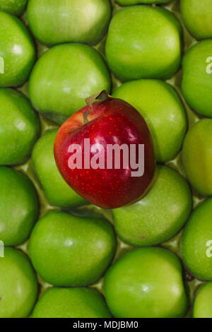 Red Apple stehen heraus von großen Gruppe von grünen Äpfeln. Stockfoto