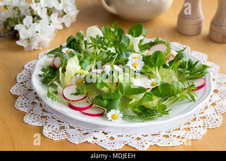 Frühlingssalat mit vogelmiere, bedstraw, junge Schafgarbe Blätter und andere wilde essbare Pflanzen Stockfoto