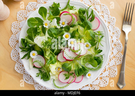 Frühlingssalat mit vogelmiere, bedstraw, junge Schafgarbe Blätter und andere wilde essbare Pflanzen Stockfoto