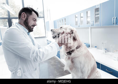 Nett aussehenden Mann an der Hunde Zähne suchen Stockfoto