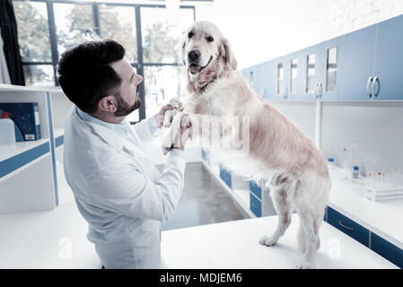 Freudige erfreut Mann am Hund suchen Stockfoto