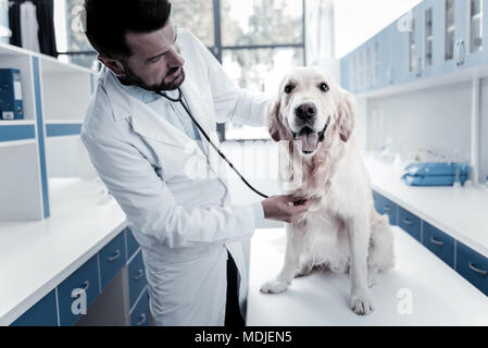 Schwere smart Mann am Hund suchen Stockfoto