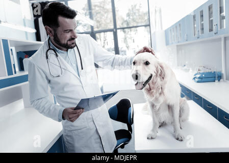 Freundliche nette Tierarzt streichelte den Hund Stockfoto