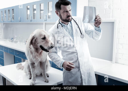 Schwere smart Doktor am X-ray Bild suchen Stockfoto