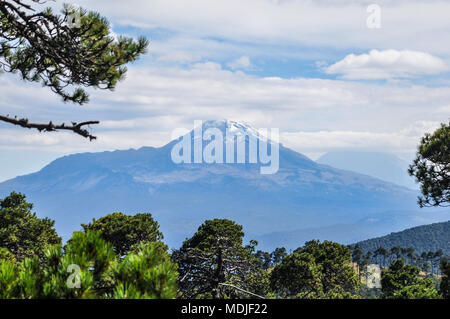 Vulcan Izztaccihuatl von Mt gesehen. Tlaloc in Mexiko durch einen Pinienwald, Teil der Trans-Mexican vulkanische Gürtel ein sehr wichtig in einem nahen bin Stockfoto