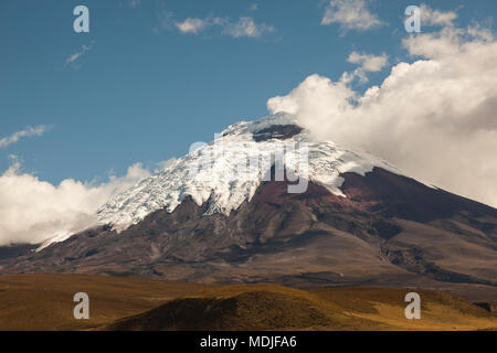 Vulkan Cotopaxi, vom Eingang Nord der National Park gesehen Stockfoto