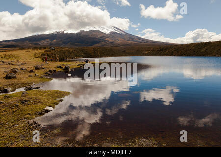 Laguna Santo Domingo in den Cotopaxi Nationalpark Stockfoto