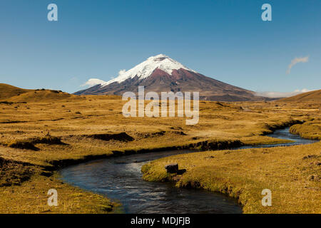 Nordeingang des Cotopaxi Nationalpark, im Hintergrund der Vulkan und Stream im Vordergrund Stockfoto