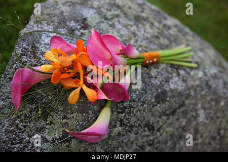 Schöne rosa Lilien Festlegung auf einen großen Stein Stockfoto