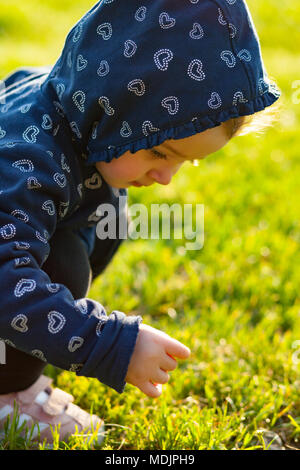 Little Baby Mädchen spielt gerne im Park im Freien im Frühjahr und sammelt Gänseblümchen. Stockfoto