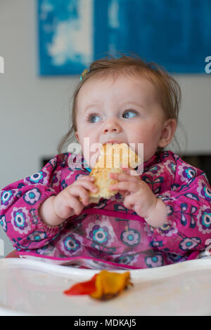 Baby geführt Entwöhnung Stockfoto