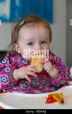 Baby geführt Entwöhnung Stockfoto