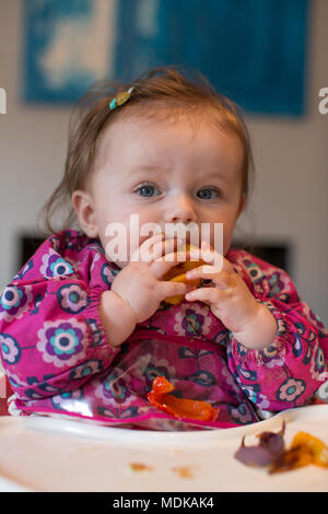 Baby geführt Entwöhnung Stockfoto