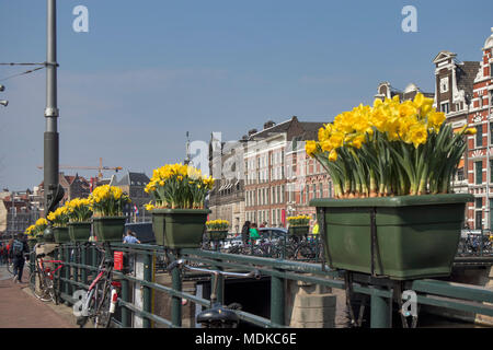 Amsterdam, Niederlande - 14 April 2018 Die jährliche Festival der Frühling Blumen in den Straßen von Amsterdam fließen Stockfoto