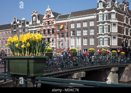 Amsterdam, Niederlande - 14 April 2018 Die jährliche Festival der Frühling Blumen in den Straßen von Amsterdam fließen Stockfoto