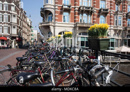 Amsterdam, Niederlande - 14 April 2018 Die jährliche Festival der Frühling Blumen in den Straßen von Amsterdam fließen Stockfoto