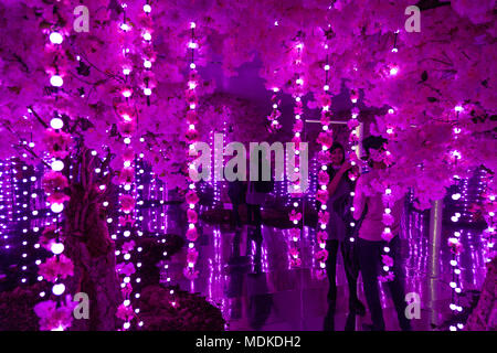 Sakura Kirschblüte Spiegel Zimmer Der Infinity Garden an der ense Platz" Installation in Exchange Square, Liverpool Street, London, UK Stockfoto