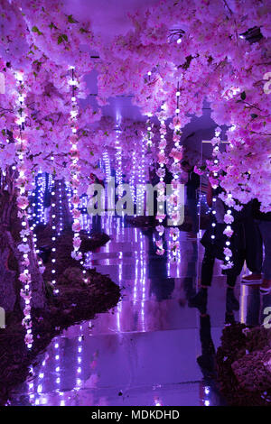 Sakura Kirschblüte Spiegel Zimmer Der Infinity Garden an der ense Platz" Installation in Exchange Square, Liverpool Street, London, UK Stockfoto