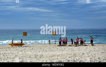 Sydney, Australien - 29.Oktober 2017. Rettungsschwimmer an rettungsfahrzeug auf Bondi Beach bereitet sich für Morgen Training. Stockfoto