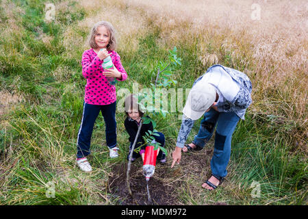 Drei Kinder Bewässerung neu gepflanzter Walnussbaum. Stockfoto