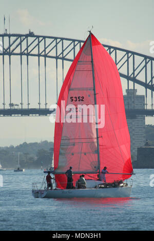 YACHT im Hafen von Sydney, NSW, Australien Stockfoto