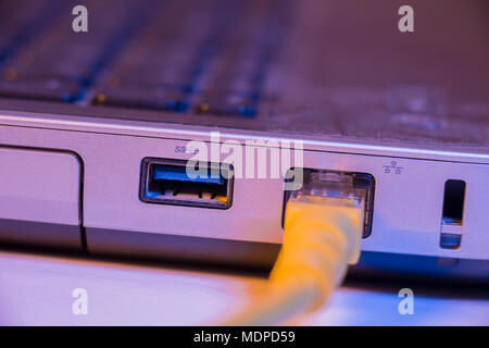 Nahaufnahme des Ethernet-Kabels in den Anschluss an der Seite eines Laptops. Stockfoto