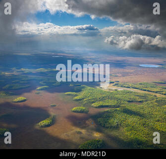 Blick von oben auf die Wald Stockfoto