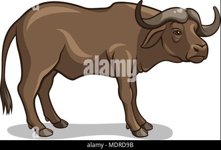 Vector Illustration von Buffalo isoliert auf Weiss. African Wildlife Stock Vektor