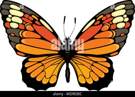 Realistische Vector Illustration eines Schmetterling Stock Vektor