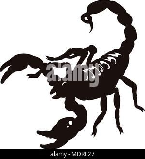 Silhouette von Scorpion isoliert auf Weiss. Vector Illustration. Schwarz und Weiß Stock Vektor