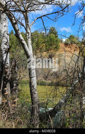 Cabriel Flusses mit kristallklarem Wasser und von grüner Vegetation in den Bergen von Albacete, Spanien umgeben Stockfoto