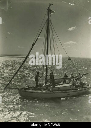 Kreuzfahrt auf Moreton Bay, Brisbane. Lage: die Moreton Bay, vor der Küste von Brisbane, Queensland, Australien. Beschreibung: Fischerboot Miss Otis Ankunft am Bischof Insel nach einem Angelausflug. Sie sind displayng einen großen Fisch an der Drähte. Stockfoto