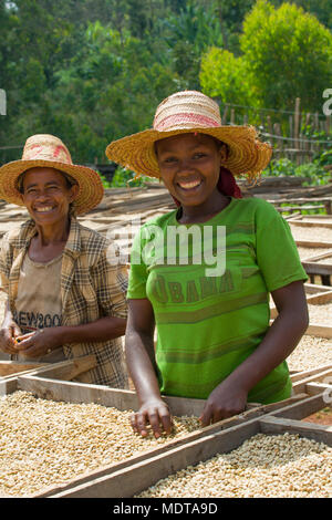 Äthiopien, Oromia, Arbeiter am Kaffee Verarbeitung Mühle Stockfoto