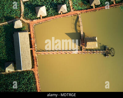 Antenne drone Ansicht TOPDOWN eines Lotus Bauernhof im ländlichen Kambodscha Landschaft Stockfoto