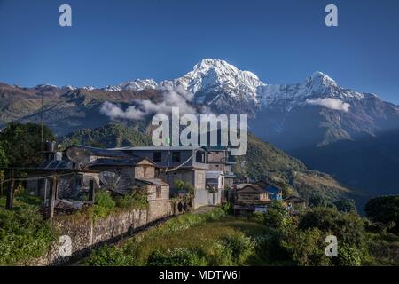 Teehaus auf der Annapurna Umrundung mit dem Himalaya im Hintergrund Stockfoto