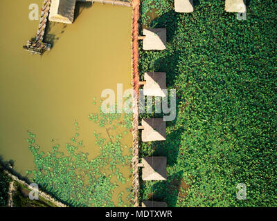 Antenne drone Ansicht TOPDOWN eines Lotus Bauernhof im ländlichen Kambodscha Landschaft Stockfoto