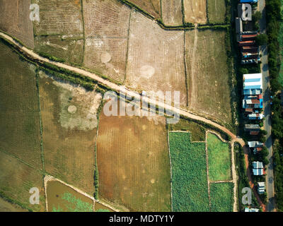 Antenne drone Ansicht TOPDOWN eines Lotus Bauernhof im ländlichen Kambodscha Landschaft Stockfoto