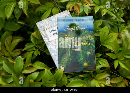 Bücher liegen auf der Oberseite der Blätter im Garten Stockfoto