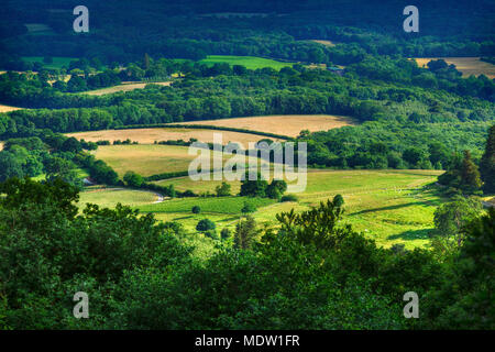 Mit Blick auf die Felder, auf der South Downs im Sommer, einem idyllischen englischen Landschaft, Grün- und angenehmen Landschaft. Stockfoto