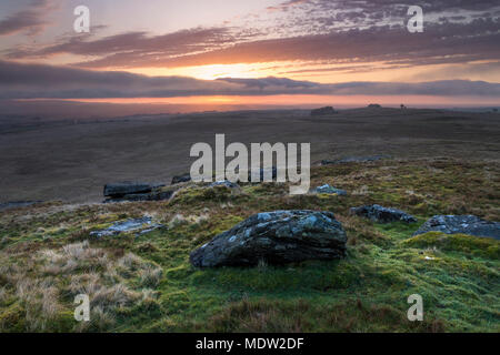 Der Blick nach Osten über cotherstone Moor in Richtung des Loup Hügel von Goldsborough, Baldersdale, Teesdale, County Durham, UK Stockfoto