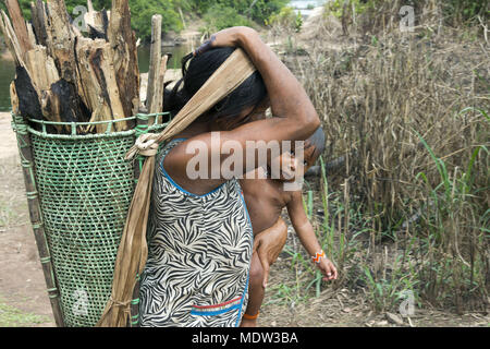 Indien Kayapo Dorf Moikarako Durchführung Brennholz zum Kochen unterstützt balaio Stirn Stockfoto