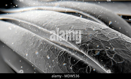Eine mikroskopische Makro Detailansicht von Programmteilen von texturierten Haare oder Fasern - 3D-Rendering Stockfoto