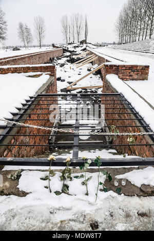 Oswiecim/Polen - 02.15.2018: Rose Blume auf den Ruinen einer Gaskammer, die zerstört wurden, nie wieder Auschwitz B angewendet werden Stockfoto