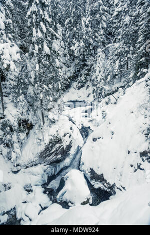 Zakopane/Polen - Winter Blick auf den fast gefrorenen Creek zwischen die Berge und Bäume im Schnee bedeckt. Stockfoto