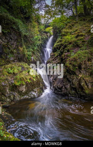 Aira tritt Wasserfall im englischen Lake District. Land, das von der National Trust gehört. Stockfoto