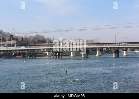 Möwen im Flug vor dem Hintergrund der blauen Fluss, die Brücke und Blick auf die Kura, Migechevir, Aserbaidschan. Lachmöwe (Chroi Stockfoto