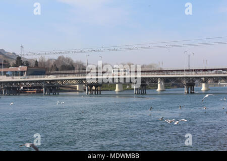 Möwen im Flug vor dem Hintergrund der blauen Fluss, die Brücke und Blick auf die Kura, Migechevir, Aserbaidschan. Lachmöwe (Chroi Stockfoto